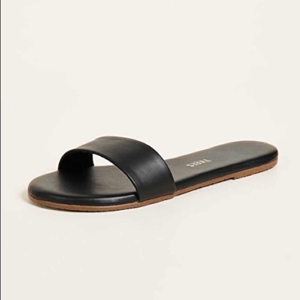 TKees Alex Slides
